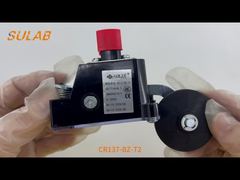IP67 रेटिंग, 2×SPDT स्नैप-एक्शन संपर्क और स्टील रोलर L के साथ CR137-BZ-T2 हेवी-ड्यूटी लिमिट स्विच