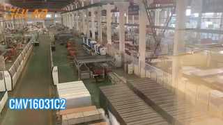 सीएमवी16031सी2